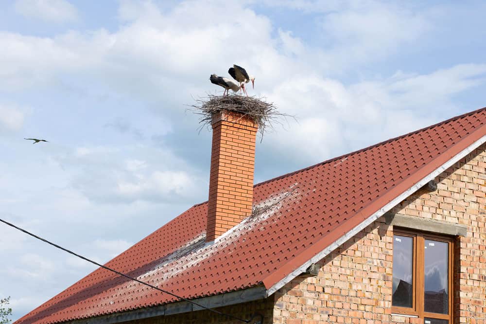 Why Cap an Unused Chimney The Chimney Experts